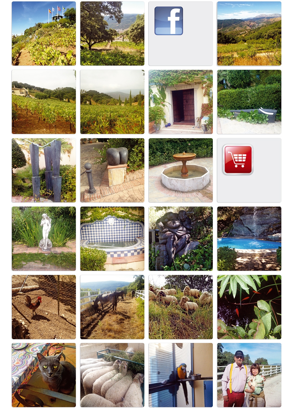 Enkvistwinesstart201509